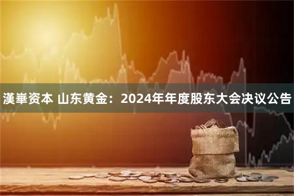 漢崋资本 山东黄金：2024年年度股东大会决议公告