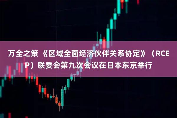 万全之策 《区域全面经济伙伴关系协定》(RCEP)联委会第九次会议在日本东京举行