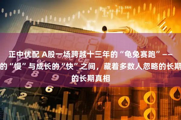 正中优配 A股一场跨越十三年的“龟兔赛跑”——红利的“慢”与成长的“快”之间,藏着多数人忽略的长期真相